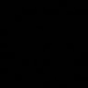 Meet your Posher, Dylan